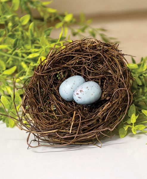 Angel Vine Bird Nest with Eggs