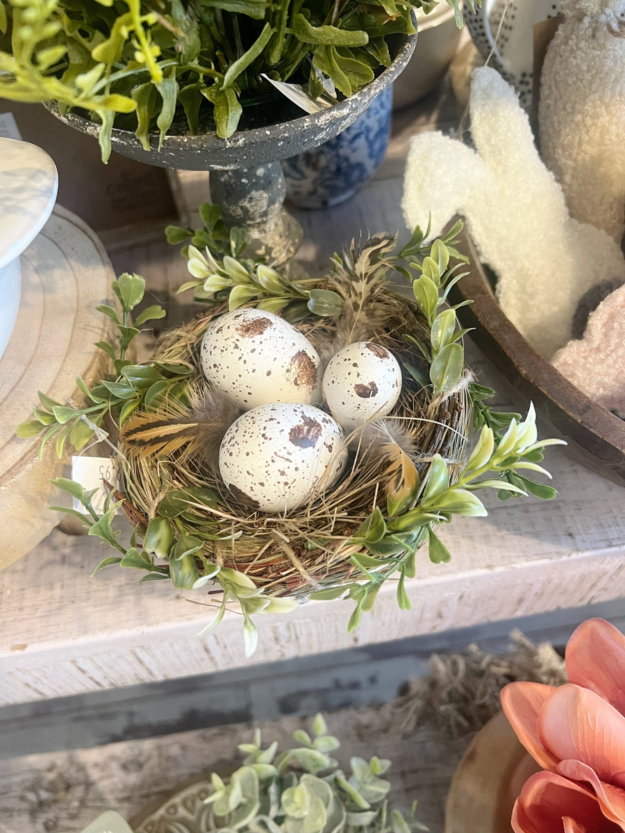 Angel Vine Birds Nest with Eggs