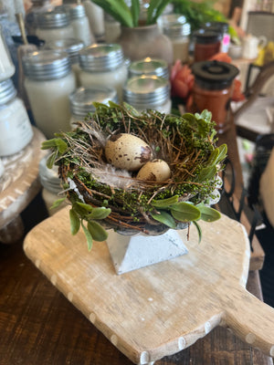 Sweet Annie Bird Nest
